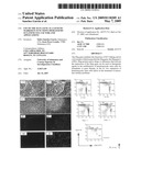 Use of the slug gene as a genetic marker in functions mediated by SCF (stem cell factor) and applications diagram and image