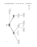 Use of the slug gene as a genetic marker in functions mediated by SCF (stem cell factor) and applications diagram and image