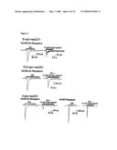 Kainate Receptor-Selective Epimeric Analogs of Dysiherbaine diagram and image