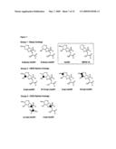 Kainate Receptor-Selective Epimeric Analogs of Dysiherbaine diagram and image