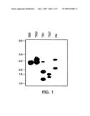 USPA1 AND USPA2 ANTIGENS OF MORAXELLA CATARRHALIS diagram and image