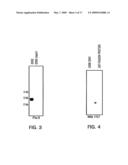 USPA1 AND USPA2 ANTIGENS OF MORAXELLA CATARRHALIS diagram and image