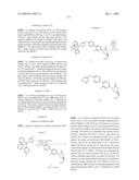 BIARYL HETEROCYCLIC COMPOUNDS AND METHODS OF MAKING AND USING THE SAME diagram and image