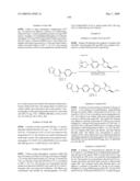 BIARYL HETEROCYCLIC COMPOUNDS AND METHODS OF MAKING AND USING THE SAME diagram and image