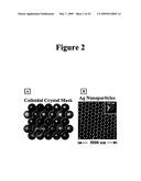 Surface-enhanced raman nanobiosensor diagram and image