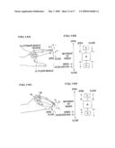 LIVING BODY INSPECTION SYSTEM, LIVING BODY INSPECTION APPARATUS, AND LIVING BODY INSPECTION METHOD diagram and image