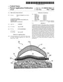 Drug delivery devices diagram and image