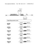 Modification of plant lignin content diagram and image