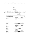 Modification of plant lignin content diagram and image