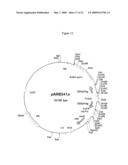 Modification of plant lignin content diagram and image