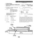 Polymeric Nanofibril Network for Photovoltaic Cells diagram and image