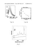SURFACE ENHANCED SPECTROSCOPY-ACTIVE COMPOSITE NANOPARTICLES diagram and image