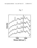 SURFACE ENHANCED SPECTROSCOPY-ACTIVE COMPOSITE NANOPARTICLES diagram and image