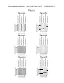 Radar apparatus or like diagram and image