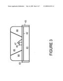 USING MULTIPLE TYPES OF PHOSPHOR IN COMBINATION WITH A LIGHT EMITTING DEVICE diagram and image