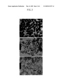 METHOD FOR MAKING SILICA NANOPARTICLES BY FLAME SPRAY PYROLYSIS ADOPTING TWO-FLUID NOZZLE diagram and image