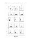 Methods for modulating Th17 cell development in the treatment and prevention of cellulite diagram and image