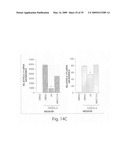 Methods for modulating Th17 cell development in the treatment and prevention of cellulite diagram and image