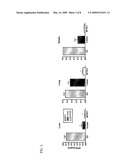 SLOW INTRAVENTRICULAR DELIVERY diagram and image