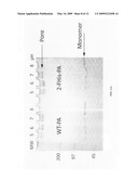 Protective Antigen Having Fluorinated Histidine Residues diagram and image