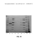 CHROMATOGRAPHIC METHOD AND SYSTEM FOR PURIFYING A BOTULINUM TOXIN diagram and image