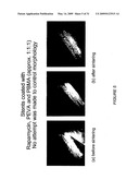 POLYMER COATINGS CONTAINING DRUG POWDER OF CONTROLLED MORPHOLOGY diagram and image