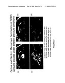 POLYMER COATINGS CONTAINING DRUG POWDER OF CONTROLLED MORPHOLOGY diagram and image