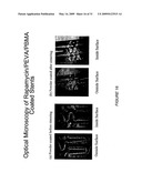 POLYMER COATINGS CONTAINING DRUG POWDER OF CONTROLLED MORPHOLOGY diagram and image