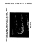 POLYMER COATINGS CONTAINING DRUG POWDER OF CONTROLLED MORPHOLOGY diagram and image