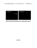 POLYMER COATINGS CONTAINING DRUG POWDER OF CONTROLLED MORPHOLOGY diagram and image