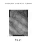 Peptide nanostructures and methods of generating and using the same diagram and image