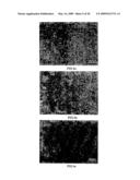 MELT-KNEADED PRODUCTS, MOLDED RESIN PRODUCTS, AND PRODUCTION METHOD THEREOF diagram and image