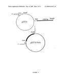 ISOLATED STAPHYLOCOCCUS DNAX SUBUNIT AND USE THEREOF diagram and image