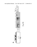 IMMUNOGLOBULIN LIBRARIES diagram and image