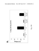 IMMUNOGLOBULIN LIBRARIES diagram and image