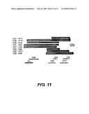 Method for the diagnosis of genetic diseases by molecular combing and diagnostic kit diagram and image