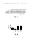 MOLECULES INVOLVED IN SYNAPTOGENESIS AND USES THEREFOR diagram and image