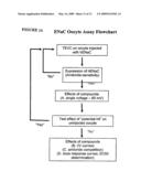 Electrophysiological assays using oocytes that express human enac and the use of phenamil to improve the effect of enac enhancers in assays using membrane potential reporting dyes diagram and image