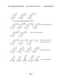 Compositions Containing, Methods Involving, and Uses of Non-Natural Amino Acids and Polypeptides diagram and image