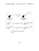 Compositions Containing, Methods Involving, and Uses of Non-Natural Amino Acids and Polypeptides diagram and image