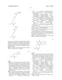 Compositions Containing, Methods Involving, and Uses of Non-Natural Amino Acids and Polypeptides diagram and image