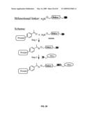 Compositions Containing, Methods Involving, and Uses of Non-Natural Amino Acids and Polypeptides diagram and image