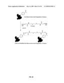 Compositions Containing, Methods Involving, and Uses of Non-Natural Amino Acids and Polypeptides diagram and image