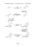 Compositions Containing, Methods Involving, and Uses of Non-Natural Amino Acids and Polypeptides diagram and image