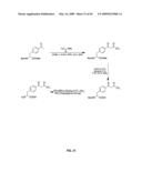 Compositions Containing, Methods Involving, and Uses of Non-Natural Amino Acids and Polypeptides diagram and image