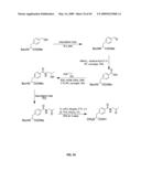 Compositions Containing, Methods Involving, and Uses of Non-Natural Amino Acids and Polypeptides diagram and image