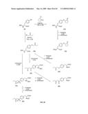 Compositions Containing, Methods Involving, and Uses of Non-Natural Amino Acids and Polypeptides diagram and image