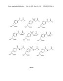 Compositions Containing, Methods Involving, and Uses of Non-Natural Amino Acids and Polypeptides diagram and image