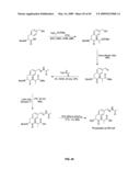 Compositions Containing, Methods Involving, and Uses of Non-Natural Amino Acids and Polypeptides diagram and image