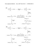 Compositions Containing, Methods Involving, and Uses of Non-Natural Amino Acids and Polypeptides diagram and image